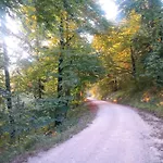 Tomo 2 * Postojna