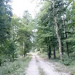 Tomo 2 Lejlighed Postojna