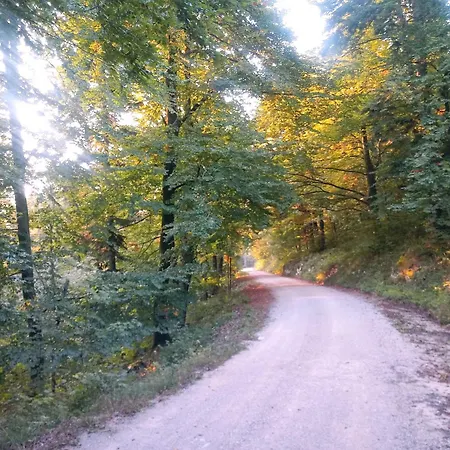 Tomo 2 * Postojna