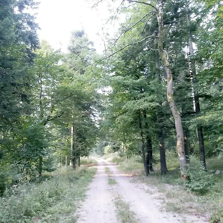 Tomo 2 Apartment Postojna