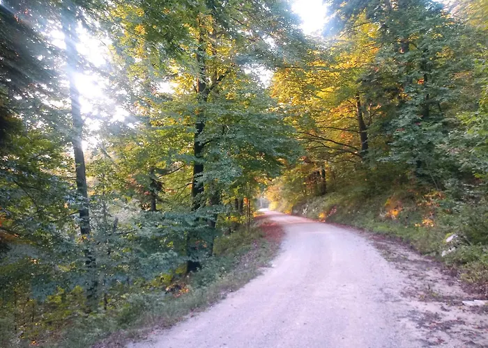 Tomo 2 * ポストイナ