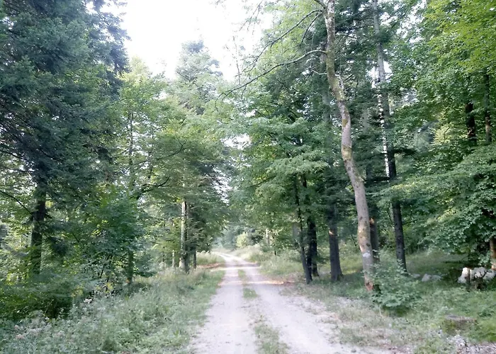 Tomo 2 Appartamento Postumia